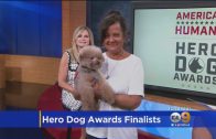 Eighth-Annual-Hero-Dog-Awards-In-Beverly-Hills
